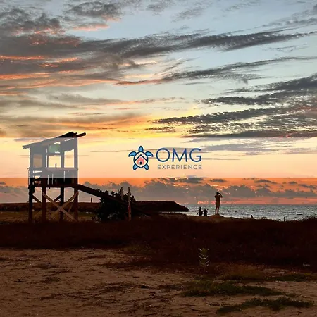 Oceanfront + Sunset Views Cb1403 Apartment