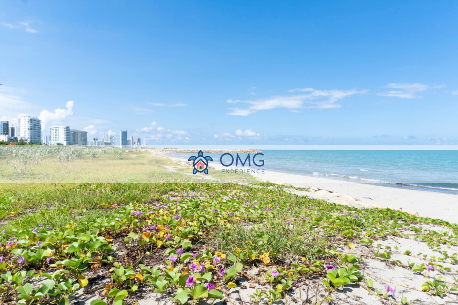 Oceanfront + Sunset Views Cb1403 *